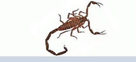 alacranes